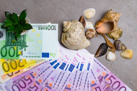 Seashells, seal, cactus, with euro money holiday money. Money for vacationの写真素材