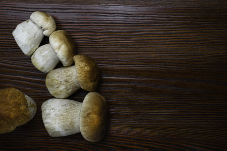 Autumn Cep Mushrooms. Ceps Boletus edulis over Wooden Dark Background, close up on wood rustic table. Cooking delicious organic mushroom. Gourmet foodの写真素材