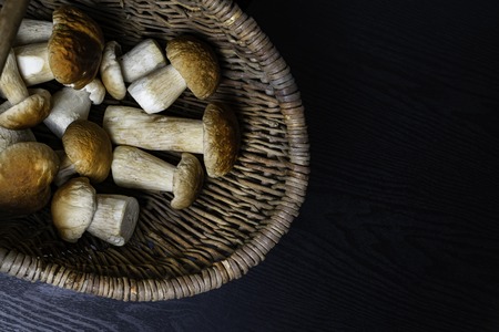 Autumn Cep Mushrooms. Basket with porcini mushrooms on the wooden background. Close -up on wood rustic table. Cooking delicious organic mushroom. Free space for textの写真素材