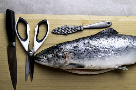 Large fresh salmon, knife and scissors. Preparation for cutting fish. Valuable commercial fish. Salmon is popular in diet and healthy nutrition, it has high protein content, Omega-3 and vitamin Dの写真素材
