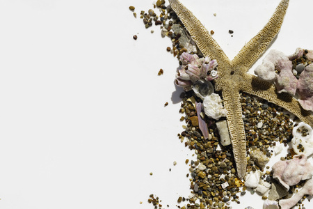 Sea stars and sea shells on sand isolated on white background, travel conception, selective focus