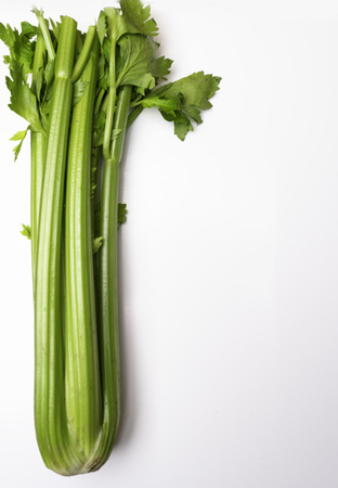 Celery isolated on white backgroundの写真素材