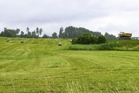 view on haystacks in front of the forest, and view on road selective focusの写真素材
