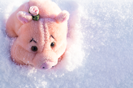 Toy pink pig with flower on white snow. Copy space.の写真素材