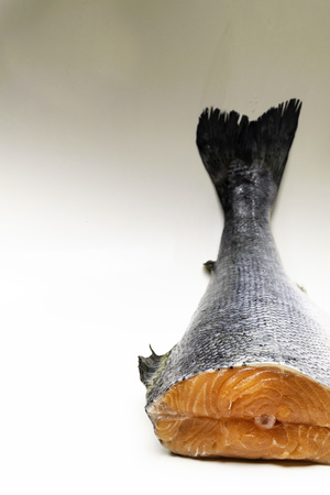 Fresh raw salmon red fish, isolated on white tableの写真素材