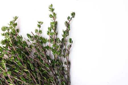 Rosemary isolated on white background, Top view. copy spaceの写真素材