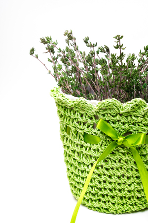 Pot with fresh rosemary isolated on white backgroundの写真素材