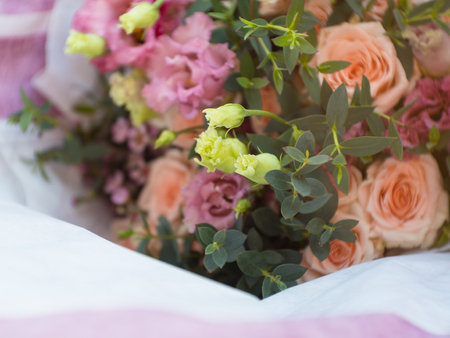 abstract blur flowers roses background, copy spaceの写真素材