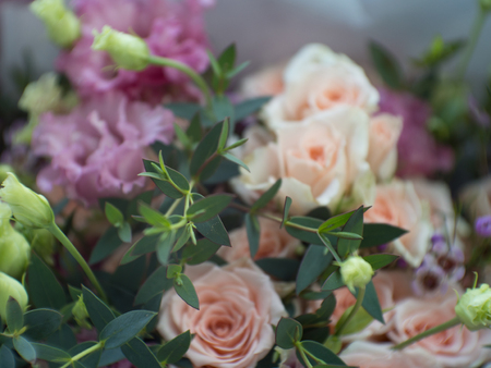 Summer blossoming delicate roses on blooming flowers festive background, pastel and soft bouquet floral card, blured, bokehの写真素材