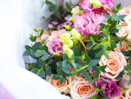 Roses flower as smooth and soft, pink tone with blurred bokeh for greeting or wedding or invitation card background selective focus, copy spaceの写真素材