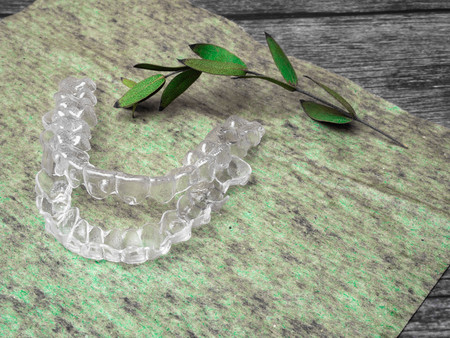 Inivisalign braces. Invisible aligner on green surface decorated with green branchの写真素材