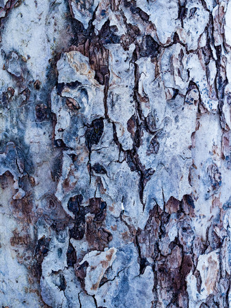Closeup pattern of old wood wooden hardwood vintage table furniture texture abstract backgroundの写真素材
