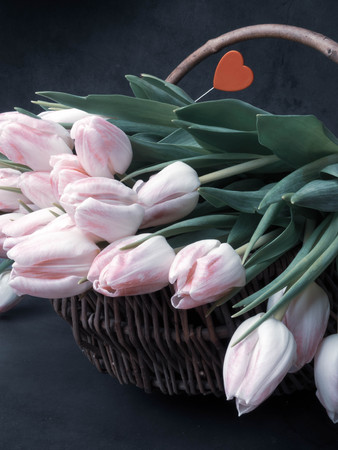 spring tulips in wooden basket, on grey background. happy mothers day, romantic still life, fresh flowersの写真素材
