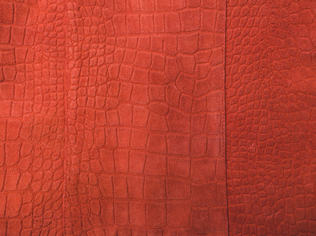 Trend photography on the theme of the actual colors for this season - a shade of orange. Beautiful...