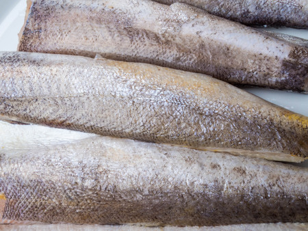 Frozen hake fish as food background