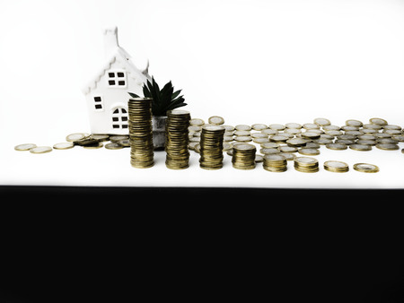 Stacking gold coins tower and house, cactus saving money and loan for construction real estate...