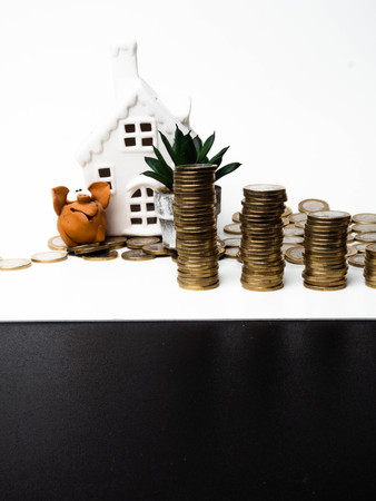 Money coins stack, pig, cactus with white house isolated on white background. Property investment financial concept.の写真素材