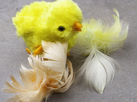 Cute yellow felted chicken toy and feathers on grey background. Easter concept