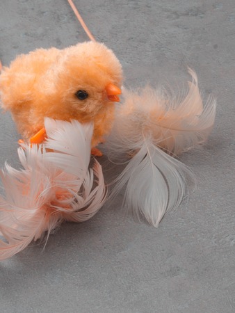 Cute yellow felted chicken toy and feathers on grey background. Easter conceptの写真素材