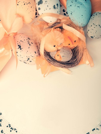 easter eggs and yellow chickens in a nest, easter postcardの写真素材