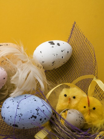 easter eggs and yellow chickens in a nest isolated on yellow background, postcardの写真素材