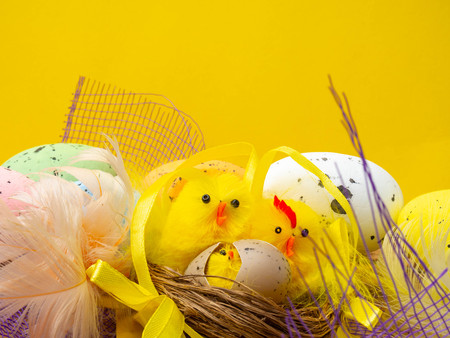 easter composition, colorful eggs, chicken in nest, color feather, with copy space