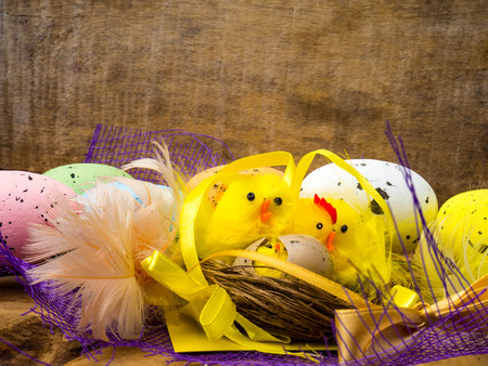 Easter decorative composition with yellow chickens nest, color eggs and colorful feathers on wooden...
