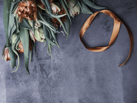 Symbols of memory and respect of the victory of Soviet soldiers in the Second World War and the Russian military in armed conflicts. 9 May, 23 February card concept. Copy space for text, web bannerの写真素材