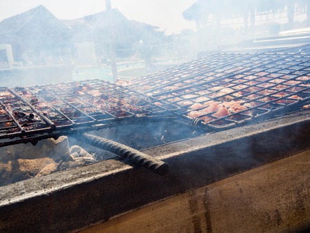 grilled caucasus barbecue in smoke, picnic timeの写真素材