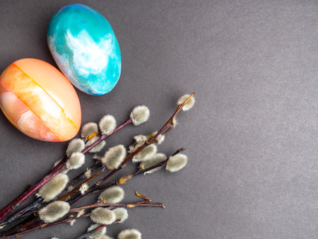pussy-willow twigs with Easter eggs isolated on grey, copy space