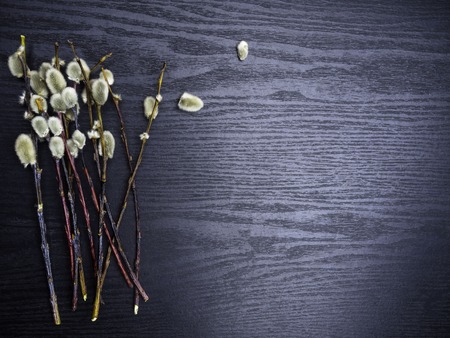 Easter greeting card with willow on wooden table. Top view with space for your greetingsの写真素材