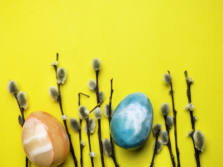 pussy-willow twigs with Easter eggs isolated on yellow