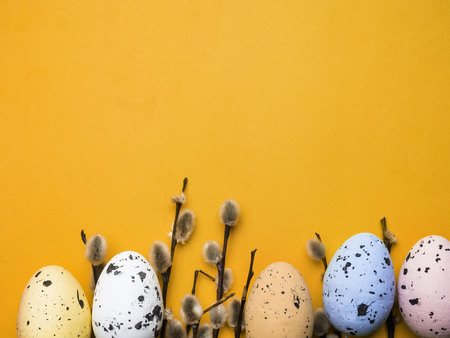 pussy-willow twigs with Easter eggs isolated on orange, copy space