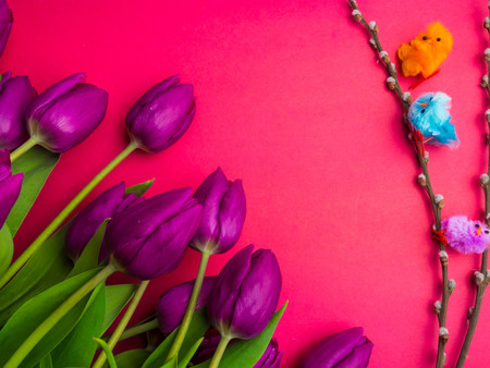 bunch of purple tulips, easter Bouquet of fresh purple tulips and decorative chickens, copy space, greeting card conceptの写真素材