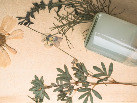 Styled beauty background, web banner. Skin tonicum bottle, dry flowers, leaves. Organic cosmetics, spa concept. top view, copy spaceの写真素材