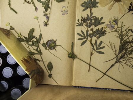 Bottle with aromatic essential oils in box and dry healthy herbs. Close-up. Selective focus. Spa and perfume theme, herbal medicine conceptの写真素材