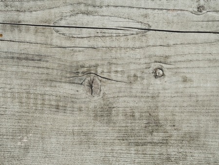 white wood texture background with natural patterns