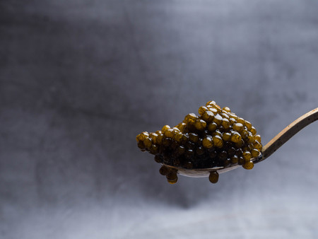 Spoons with delicious black caviar on grey background, copy spaceの写真素材