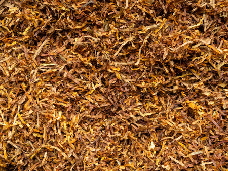 Tobacco texture. High quality dry cut tobacco big leaf, close upの写真素材