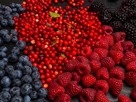 super antioxidants. superfood. mix of fresh berries, rich with resveratrol, vitamins, raw food...