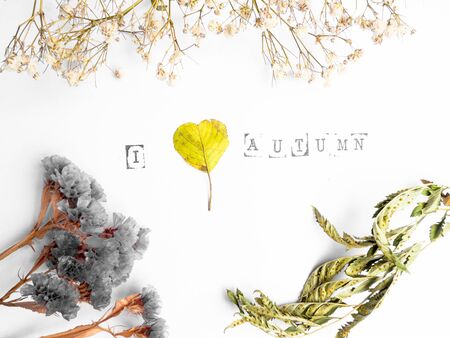 dry flowers and inscription with text i love autumn, yellow leaf heart shape, isolated on whiteの写真素材