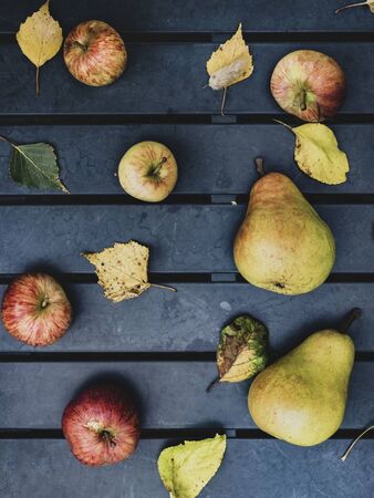 fresh organic apples and pears in autumn season, yellow and green leaves on garden table