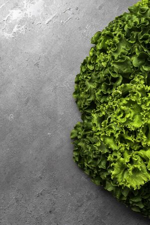 green lettuce leaves on a gray backgroundの写真素材
