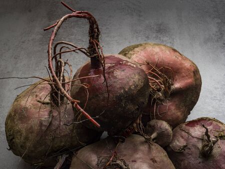 The purple organic Beets roots on grey concrete table, copy space