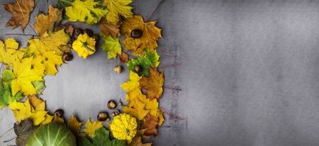 Thanksgiving background: Pumpkins, chestnuts, acorns fallen leaves on grey concrete background. Copy...