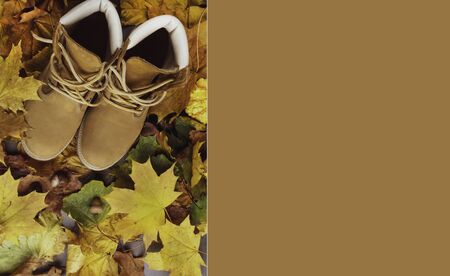Fashionable beige shoes on the background of bright colorful autumn foliage, top view, copy spaceの写真素材