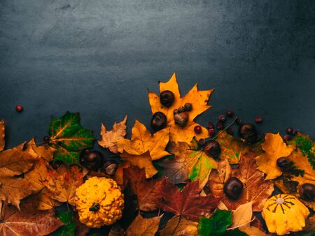 Autumn multicolored leaves foliage with pumpkins, acorns, chesnuts for Thanksgiving and fall holidays. Bottom border background with copy space, minimal conceptの写真素材