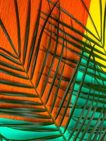 palm leaf on trendy mint, orange and yellow background. fashion minimalism. Summer mood Close upの写真素材