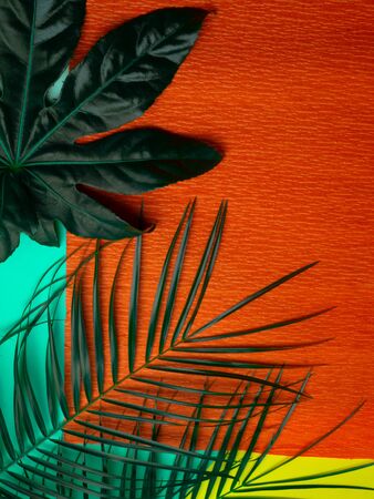 palm leaf on trendy mint, orange and yellow background. fashion minimalism. Summer mood Close upの写真素材