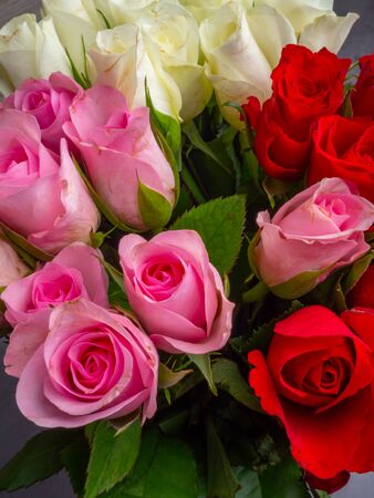 Bunch of opened roses of different colors as red, white, pink, close up. Holiday conceptの写真素材